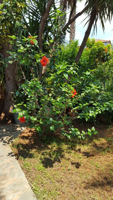 Villa Onar A Stone House With Amazing View 스투파 외부 사진