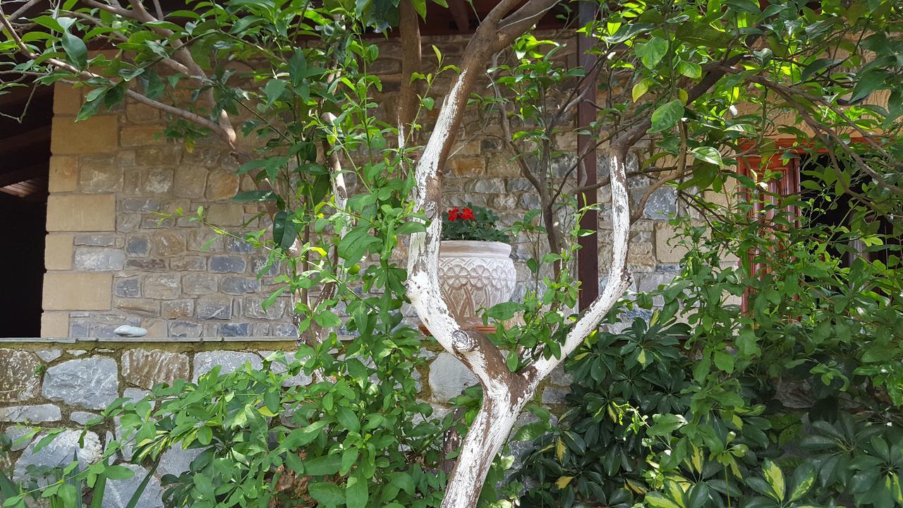 Villa Onar A Stone House With Amazing View 스투파 외부 사진
